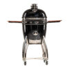 Dreamfire Kamado Smokey II