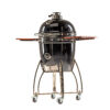 Dreamfire Kamado Smokey II